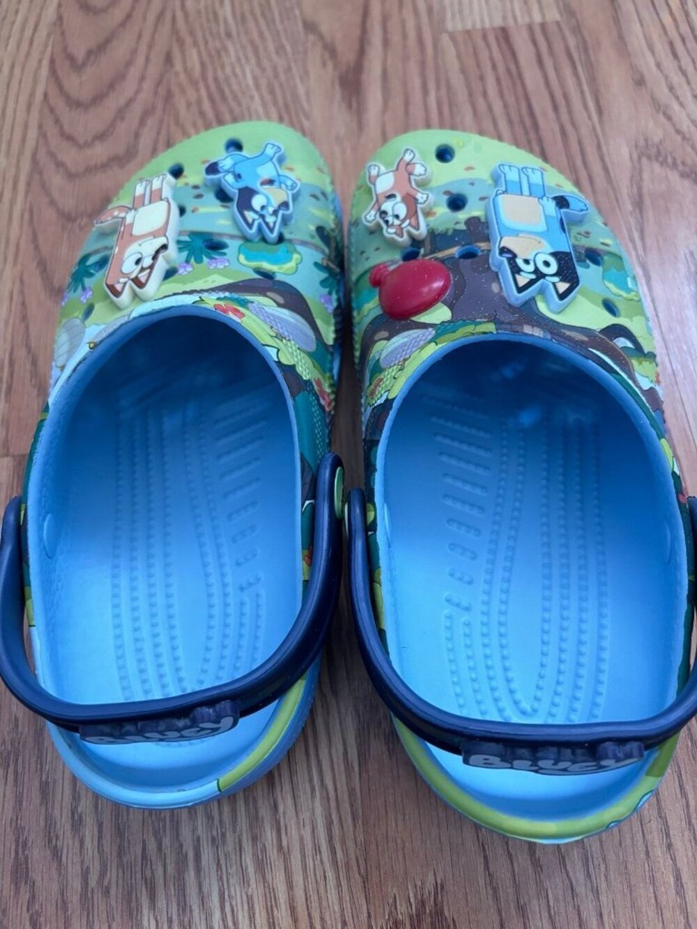 Kids bluey bingo Crocs - Picture 5 of 5